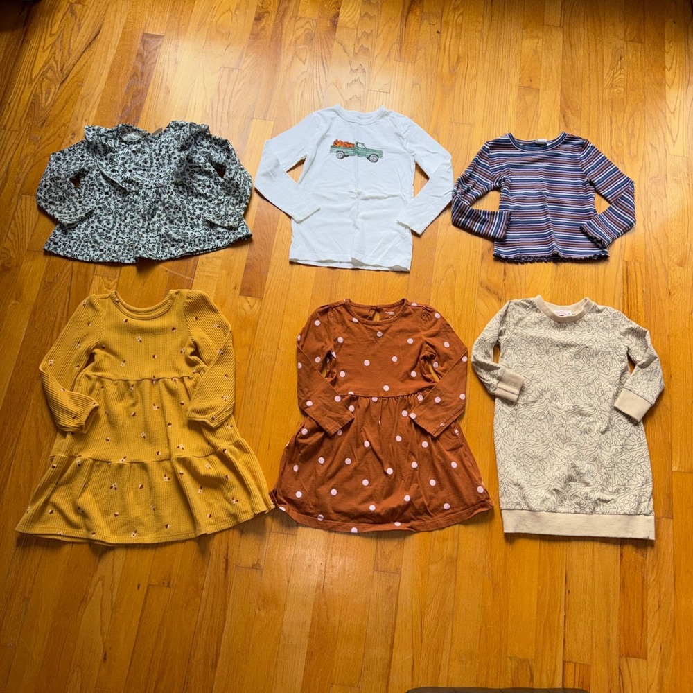 Girls Bundle Zara Crewcuts Gap Cat & Jack Tops Dresses 4-5 Floral Fall Whimsy